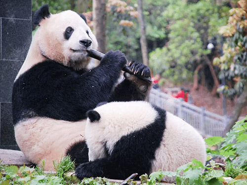 60acb271d30e0.jpg 60acb271d30e0.jpg